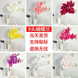 9�^�����m���滨�߼��б���ٻ���c�û����滨diy���ϰ�ɫ�����m