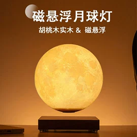 塑料工艺品;展示架;其他装饰摆件