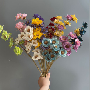 �y⏻��ֹ��ɻ���Ϲ��Sֱ�N�y⏻��Ҿ��b[���ֹ�diy��������