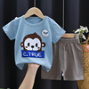 Children's summer sleeves, set, cotton T-shirt for boys, summer clothing, children's clothing