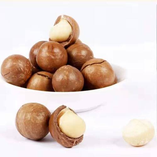 Specialty Flavor Hawaii Nut Creamy Dry Fruit Large Granules Nuts Boxed Snack Wholesale Distributor