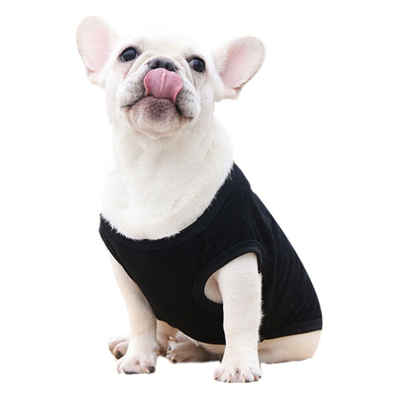 Francés cubo chaleco perro gato ropa pequeño mediano y grande perro mascotas suministros algodón oso de peluche Labrador