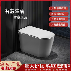 轻智能马桶全自动家用一体式自动翻盖带水箱无水压限制智能坐便器