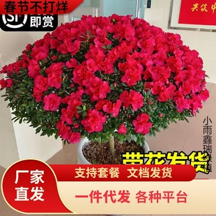 һ�����l���N�����Ի���ֲ���҃Ȼ���Î����������ļ��_�����B��