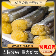 ���նഺ�~�r���M�Ѷഺ�~����ش�����~�ك������~�����������l