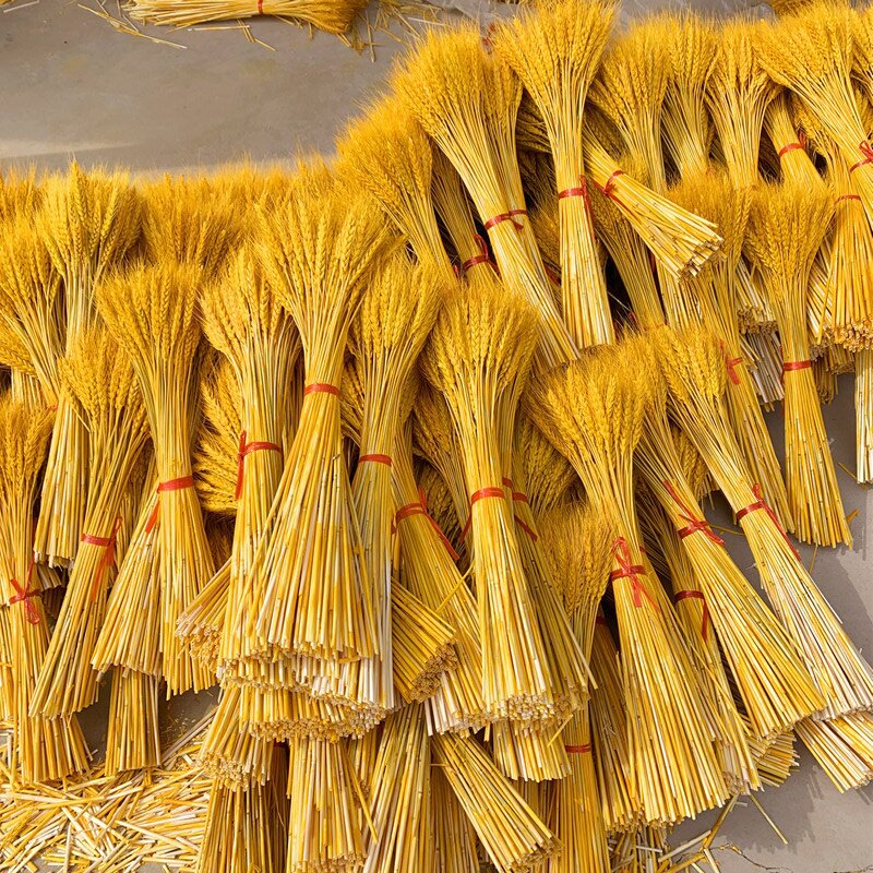 Cesta de flores de cebada abierta en el centro comercial, alegría de la vivienda, ramo de espigas de oro, decoración, props de disparo, flores secas, trigo