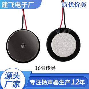 16��ӹǂ����P�������ǓP�����ȹ��Sֱ�N�|���r��