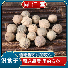 热卖品质没食子墨石子无食子没石止子咳真货好货