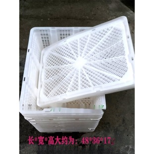 Second-Hand Berry Picking Box Mulberry Disposable Plastic Box Transport Basket Longan Pigeon Chicken Pet Express Seafood 8-Shaped