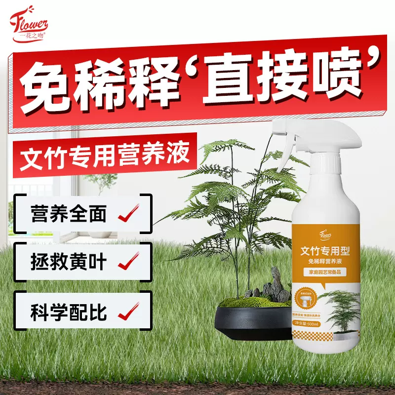 免稀释文竹营养液治黄叶专用肥料一喷绿盆栽室内液体肥云竹营养液