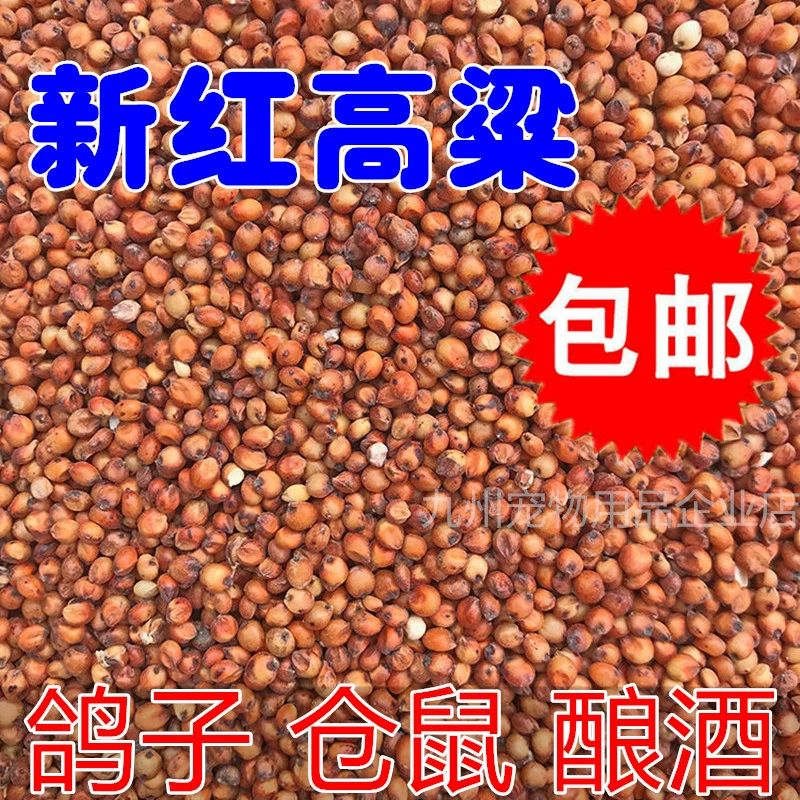 Красный сорго корм голубь зерно очищенное с кожей птица корм Перевозчик голубь декоративный голубь мясо голубя молодой голубь пищевой корм 5 кг