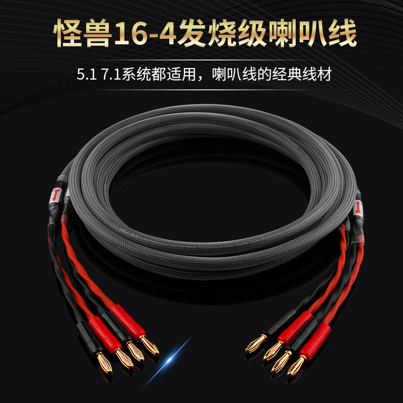 Taiwan Yangyang fever class main speaker line pure copper HIFI audio speaker line front surround line power amplifier connection line