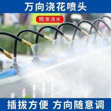 f򝲻ԄӝˮF픽؇ϵyˮˮF^