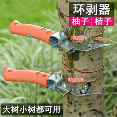 果樹皮剥ぎ器、接ぎ木、木工彫刻、園芸皮剥ぎ器、農業用皮剥ぎ器、オレンジ、グレープフルーツ