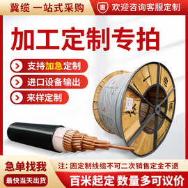 厂家YJV国标纯铜芯低压工程架空电缆线1芯1-630平方加工定制