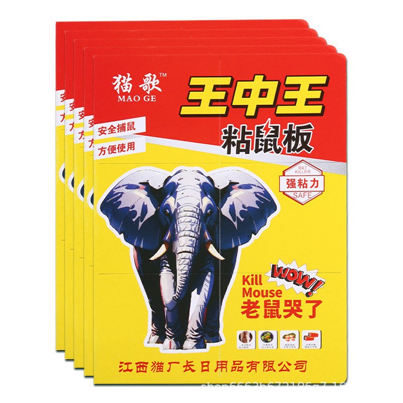 샤오 왕 중광 [확장 크기 34*21.5]]