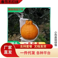 ï�ȸ̘����ϱ���ͥԺ���Ը����玧�����Լ޽ӽ��Ә���箔��Y��