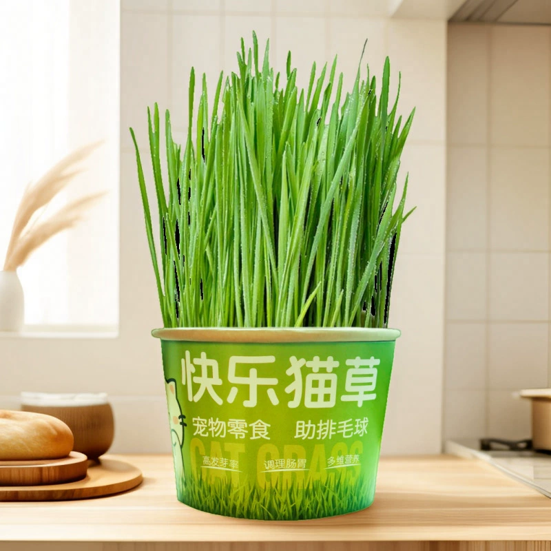 [Оригинал с фабрики] Консервированная гидропонная трава для ленивых кошек, без почвы, шарик для удаления волос для улучшения пищеварения, закуски, лапша быстрого приготовления, кошачья трава, горшечные растения