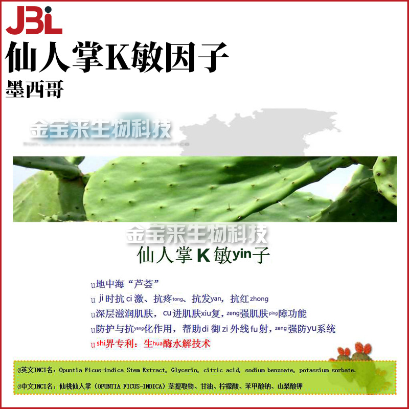 墨西哥 仙人掌抗*敏因子 仙桃仙人掌茎提取物 化妆品原料 100g