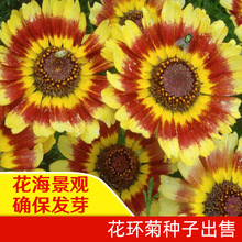 ʺշNӾջNӻhշNֲ̨҃Իݸ߳ѿ