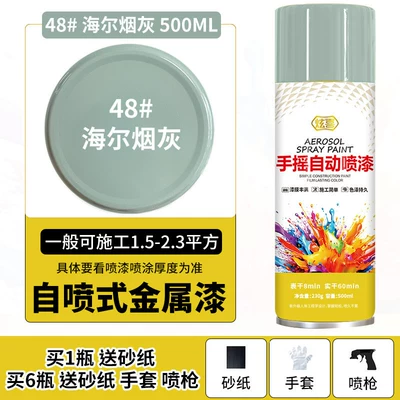 Avtomobil boyası — Repair Paint - haier-cigarette-ash-500mlbottle