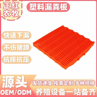 养殖场养猪场塑料漏粪板加厚双筋防滑易清洗猪舍漏粪地板定制品