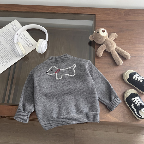 Sweater for boys