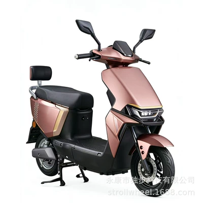 Cross-Border New Model B02: Elektrikli motosikletlər
