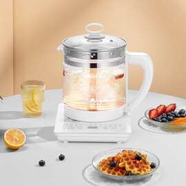 新飞养生壶家用多功能全自动烧水壶办公室小型新款花茶壶炖煮茶器