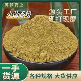 小茴香粉中药材批发香料调味料大料香辛料小茴香粉粉质细腻可代发