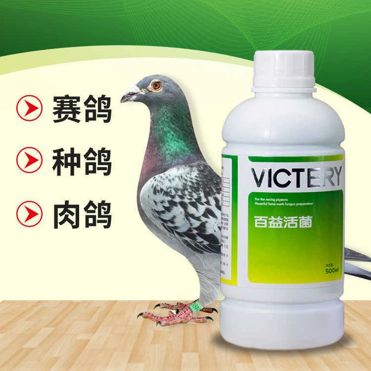 Пробиотики регулируют диарею и зеленый стул. Пробиотики для голубей не являются специальными лекарствами для голубей.