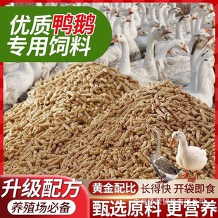 ���l���Z�Bֳ�������ȫ�r��С�ZС�����r�_�ڴ��Z�����a��������