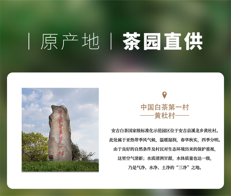 嘉木白茶单罐125克790_04