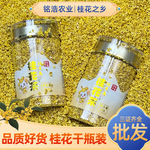 桂花干30g罐装广西桂林茶叶养生茶散批无硫熏冻干桂花干