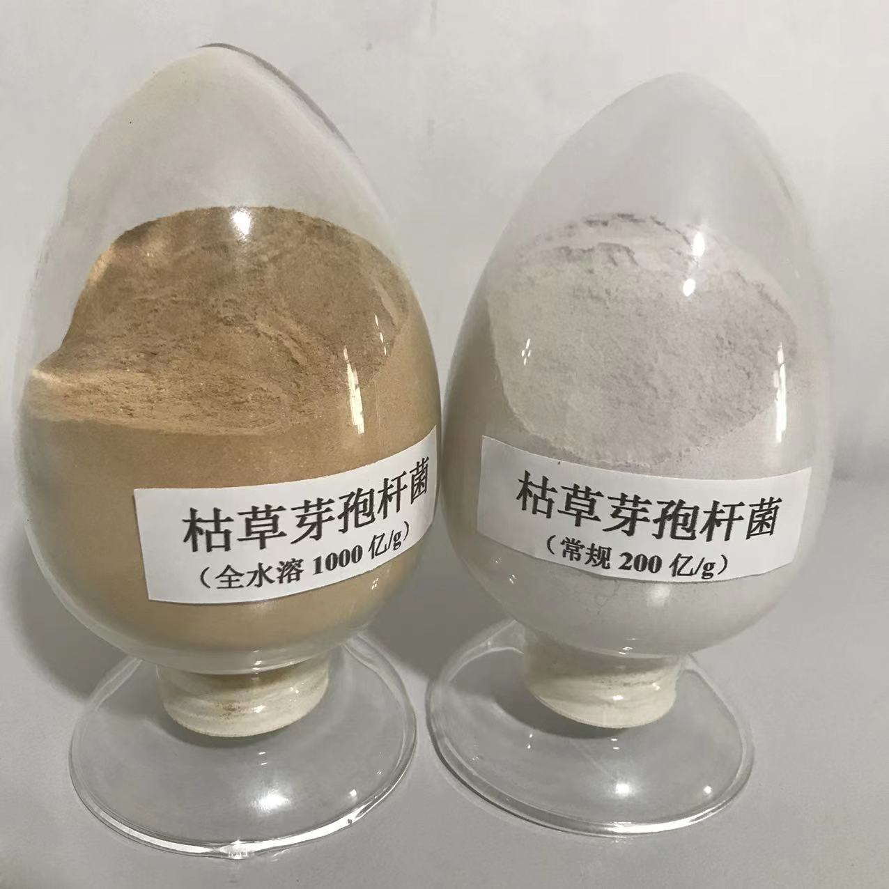 枯草芽孢杆菌  200- 1000亿 饲料农用水产用 枯草芽孢杆菌