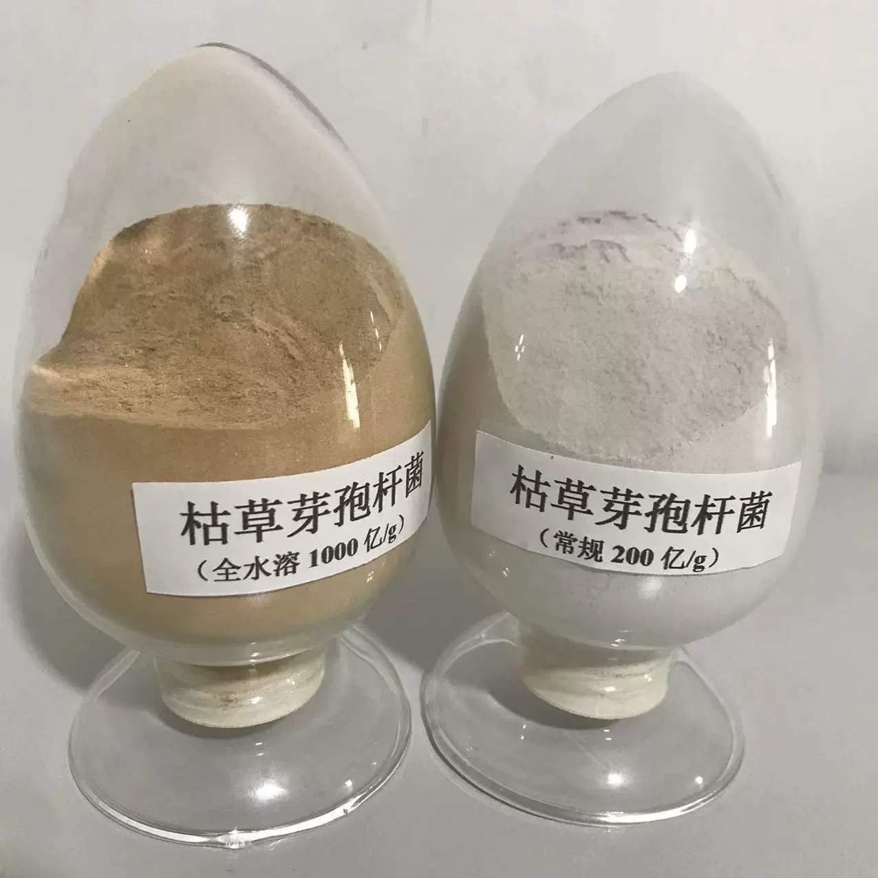 Bacillus subtilis 200- 100 миллиардов кормов Bacillus subtilis для сельскохозяйственных и водных целей