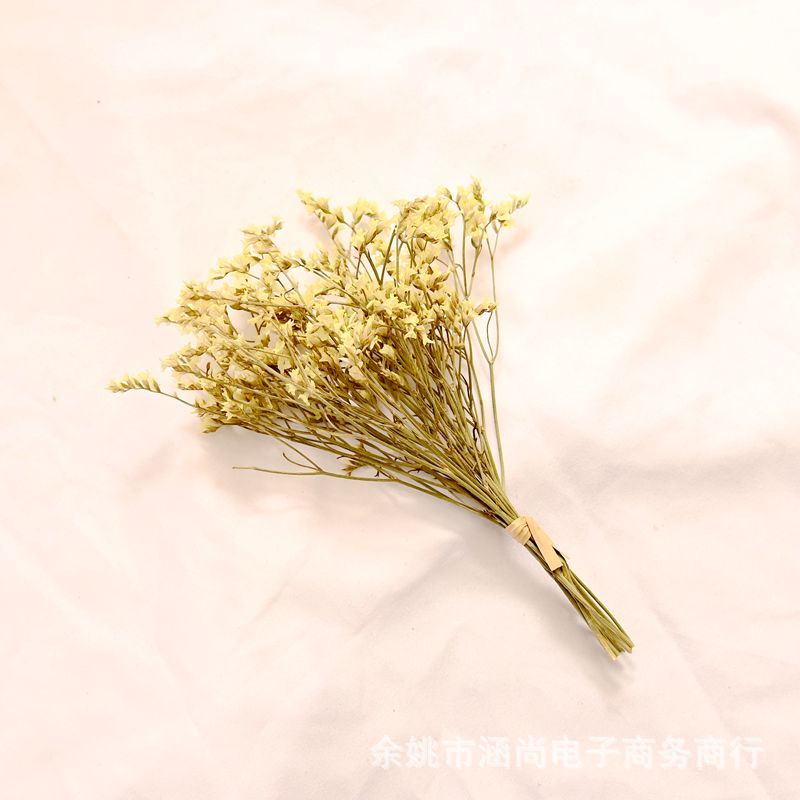 Flores secas transfronterizas ramo pequeño Cielo estrellado amante de la hierba nome olvides de la vida eterna decenas de millones de estrellas caja de regalo decoración florero pequeño ramo