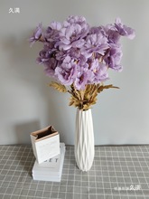 ɫϵٻcֻĽYF·廨Yõb