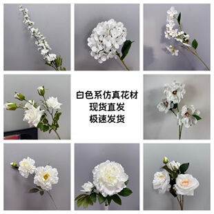 ��ɫϵ���滨�Ļ�c·����픵��Ż��Y�û�Y���üٻ��������l����