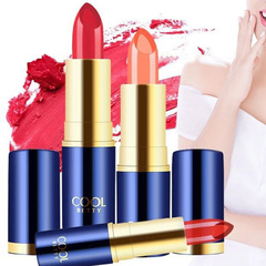 俏美人藝術家奢華臻寵唇膏口紅唇部彩妝學生女廠家批發代發23024