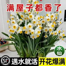 ������ˮ�ɻ��ذ�N���҃��̨�͏dˮ��ֲ�ﻨ�����Ժ��B�׻��ͺ�