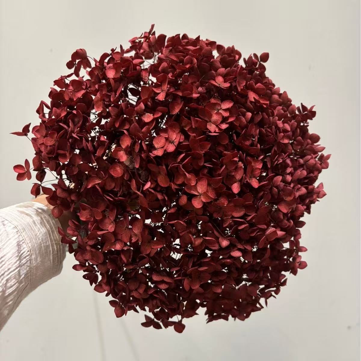 Yunnan Anna Hydrangea Flower Wholesale DIY Flower Preservation Flower Materiales de Regalo de Navidad