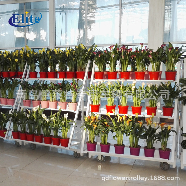 厂家直销花卉展示台车，花店展示台车，花卉展示周转车