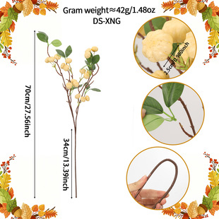 �羳�����Ϲ�֦�Ҿ��bж�����֦�b�С�Ϲρ��R�d�羳�����Ϲ�