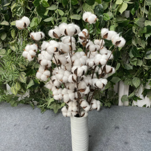 ֲ��ľ���޻�֦ DIY�����b��� 5�^7�^�ɻ��޻� �ٻ��zӰ����