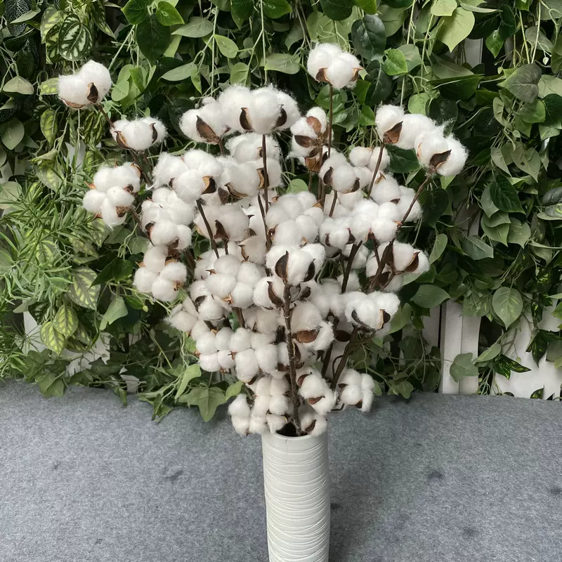 植物木棉棉花枝 DIY花束装饰道具 5头7头干花棉花 假花摄影道具