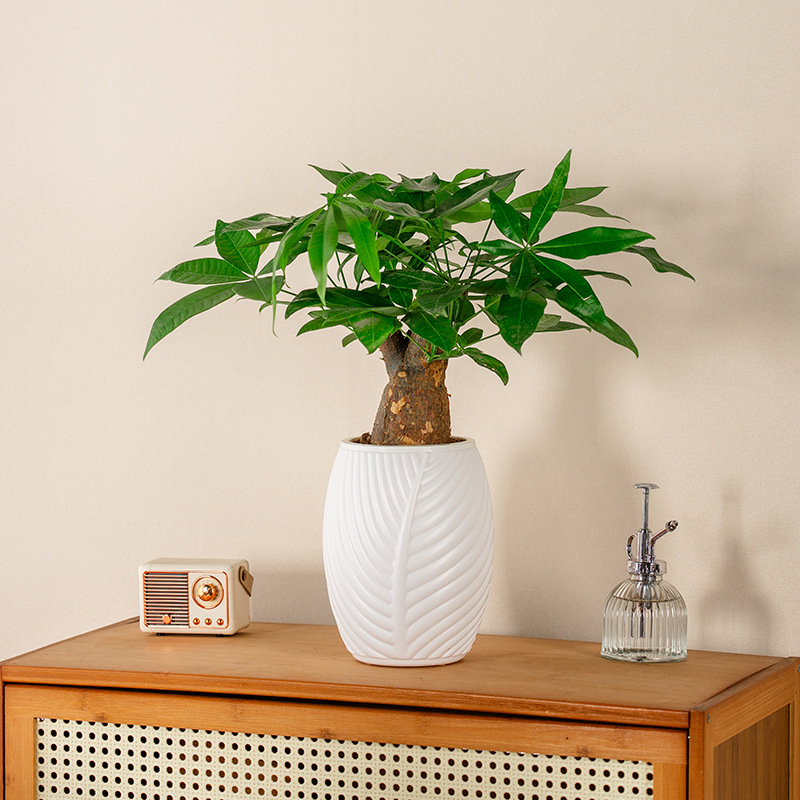 Lazy Automatic Absorbent Flower Pot Plastic Resin Thickened Stereo Desktop Flower Pot Balcony Decorative Creative Flower Pot Wholesale