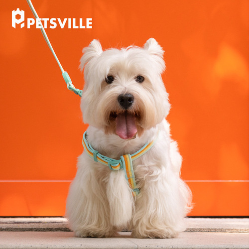 Paisiwei dog harness afternoon tea & retro record leash small and medium-sized dog collar vest style dog walking pet