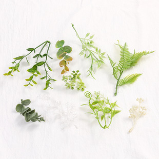 Simulated green plants, ferns, fake plants, aquatic plants, eucalyptus, simulated wall hanging plastic artificial plants, landscaping diy accessories