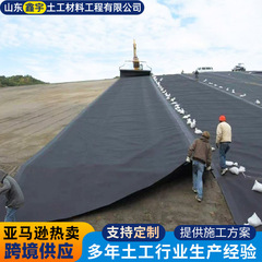 HDPE土工浸透防止膜は工事単一水利工事の酸化池メタンガス池ごみ埋立地のジオメンブレンを受ける